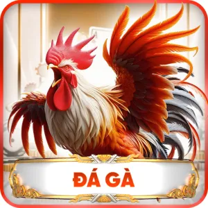 đá gà luckywin