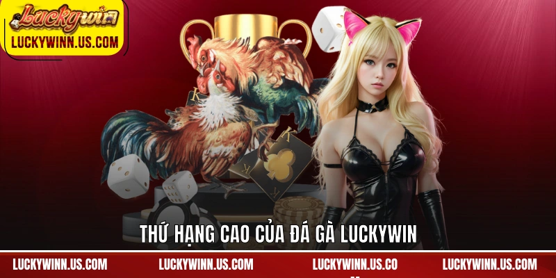 Thứ hạng cao của đá gà Luckywin