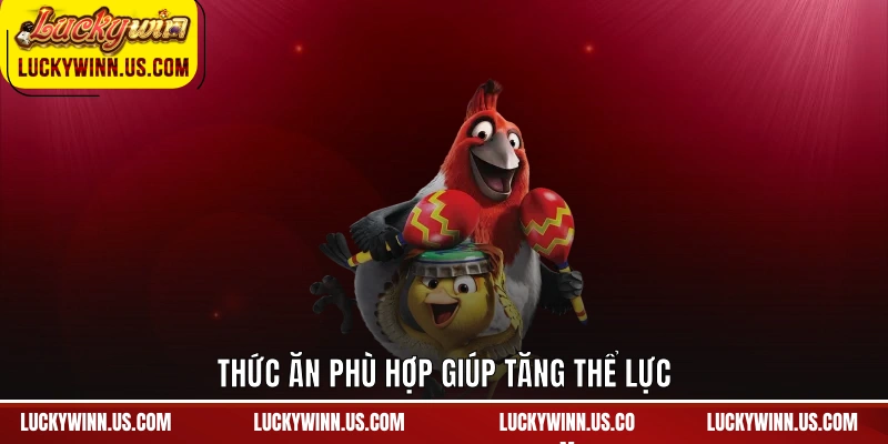 Thức ăn phù hợp giúp tăng thể lực