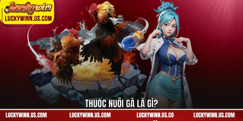 Thuốc nuôi gà là gì?